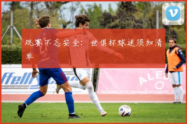 观赛不忘安全：世俱杯球迷须知清单