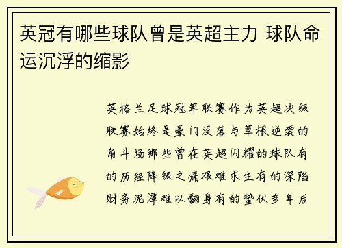 英冠有哪些球队曾是英超主力 球队命运沉浮的缩影