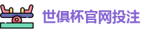 2025世界俱乐部杯